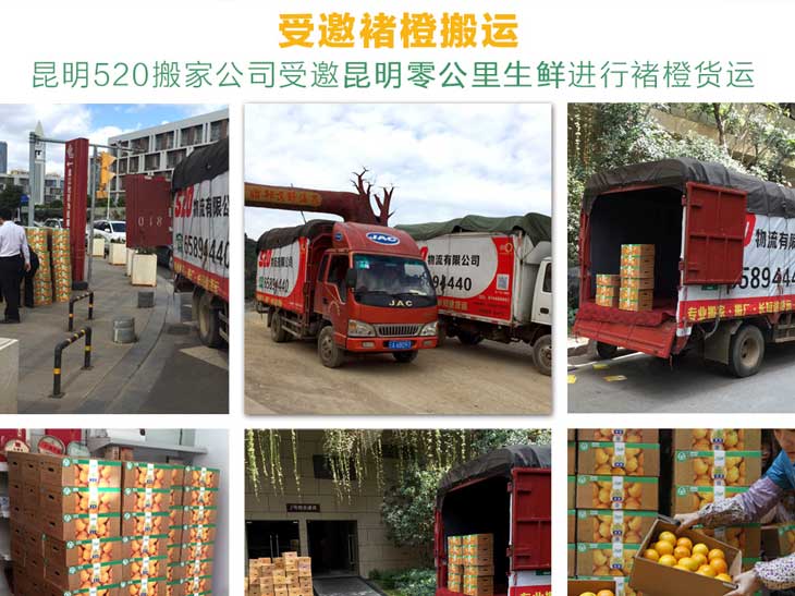 昆明520搬家公司受邀至褚时健基地空车搬运褚橙